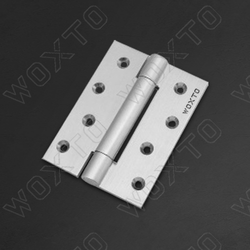 Brass Single Action Spring Hinges